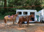 Click to enlarge Five Brooks Horse Camp, California, United States. Five Brooks Camp
The Paradise on Earth!