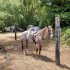 Click to enlarge Five Brooks Horse Camp, California, United States. Five Brooks Camp
The Paradise on Earth!