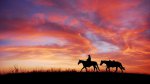 Click to enlarge Five Brooks Horse Camp, California, United States. Five Brooks Camp
The Paradise on Earth!