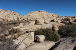 Click to enlarge Joshua Tree National Park, California, United States. Barker Dam Trail