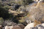 Click to enlarge Joshua Tree National Park, California, United States. Barker Dam Trail