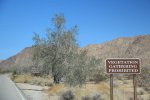 Click to enlarge Joshua Tree National Park, California, United States.