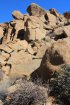 Click to enlarge Joshua Tree National Park, California, United States.
