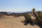 Click to enlarge Joshua Tree National Park, California, United States. Salton Sea in the distance off Mastodon Peak Loop trail.