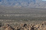 Click to enlarge Joshua Tree National Park, California, United States. Mastodon Peak Loop trail overlooking Cottonsprings campground.