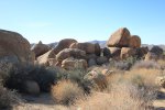 Click to enlarge Joshua Tree National Park, California, United States.