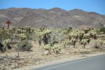 Click to enlarge Joshua Tree National Park, California, United States.