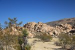 Click to enlarge Joshua Tree National Park, California, United States.