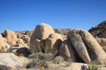 Click to enlarge Joshua Tree National Park, California, United States.