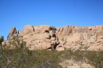 Click to enlarge Joshua Tree National Park, California, United States.
