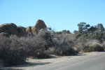 Click to enlarge Joshua Tree National Park, California, United States.