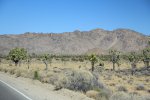 Click to enlarge Joshua Tree National Park, California, United States.