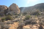 Click to enlarge Joshua Tree National Park, California, United States.