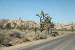 Click to enlarge Joshua Tree National Park, California, United States.