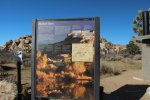 Click to enlarge Joshua Tree National Park, California, United States.