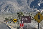 Click to enlarge Joshua Tree National Park, California, United States.