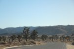 Click to enlarge Joshua Tree National Park, California, United States.