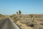 Click to enlarge Joshua Tree National Park, California, United States.