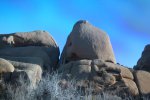 Click to enlarge Joshua Tree National Park, California, United States.