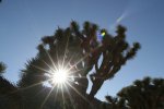Click to enlarge Joshua Tree National Park, California, United States.