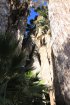 Click to enlarge Joshua Tree National Park, California, United States. Lost Palms Oasis Trail