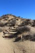Click to enlarge Joshua Tree National Park, California, United States. Mastadon Mine Loop Trail