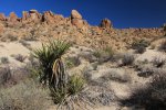 Click to enlarge Joshua Tree National Park, California, United States. Mastadon Mine Loop Trail