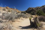 Click to enlarge Joshua Tree National Park, California, United States. Mastadon Mine Loop Trail
