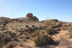 Click to enlarge Joshua Tree National Park, California, United States. Mastodon Mine Loop Trail
