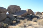 Click to enlarge Joshua Tree National Park, California, United States. Mastodon Mine Loop Trail