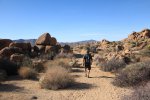 Click to enlarge Joshua Tree National Park, California, United States. Mastodon Mine Loop Trail