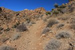 Click to enlarge Joshua Tree National Park, California, United States. Mastodon Peak Loop