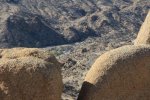 Click to enlarge Joshua Tree National Park, California, United States. Mastodon Peak Loop