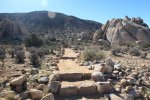 Click to enlarge Joshua Tree National Park, California, United States. RYAN MOUNTAIN