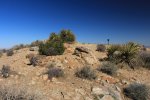 Click to enlarge Joshua Tree National Park, California, United States. Views along the Ryan Mountain hiking trail.