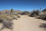Click to enlarge Joshua Tree National Park, California, United States. Wall Street Mill Trail.