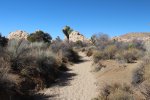 Click to enlarge Joshua Tree National Park, California, United States. Wall Street Mill Trail.