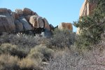 Click to enlarge Joshua Tree National Park, California, United States. Wall Street Mill Trail.
