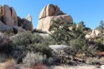 Click to enlarge Joshua Tree National Park, California, United States. Wall Street Mill Trail.