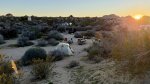 Click to enlarge Joshua Tree National Park, California, United States.