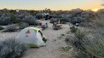 Click to enlarge Joshua Tree National Park, California, United States.