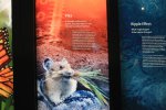 Click to enlarge Yosemite National Park, California, United States. Visitor Center at Yosemite National Park. Aren