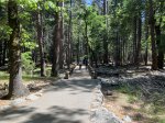 Click to enlarge Yosemite National Park, California, United States.