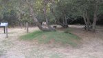Click to enlarge Andrew Molera State Park, California, United States. Picnic area.