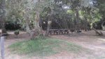 Click to enlarge Andrew Molera State Park, California, United States. Picnic area by the parking lot.