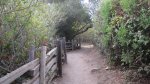 Click to enlarge Andrew Molera State Park, California, United States. Trail to the campsites.