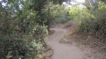 Click to enlarge Andrew Molera State Park, California, United States. Trail to the campsites.