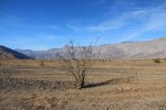 Anza-Borrego Desert State Park, California, United States. 