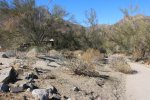 Click to enlarge Anza-Borrego Desert State Park, California, United States.