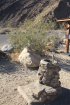Click to enlarge Anza-Borrego Desert State Park, California, United States. Palm Canyon Trail